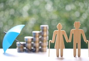 Requisitos para o BPC LOAS: Guia Completo para Solicitar o Benefício Assistencial do INSS