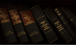 A transparência pública e o acesso à informação.