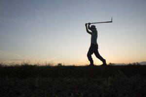 Segurado Especial (Rural): Direitos Previdenciários e Como Comprovar a Atividade