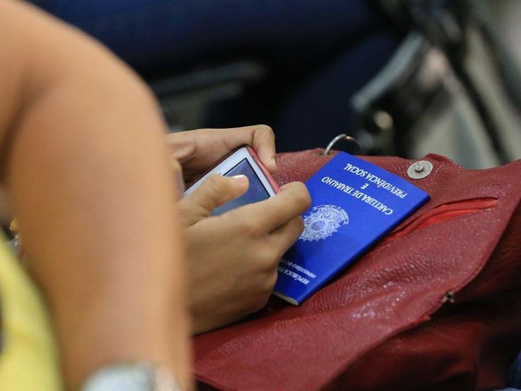 Seguro-Desemprego: Um Guia Completo para Garantir Seu Amparo Financeiro Após a Demissão